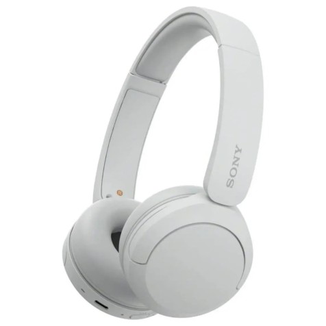 Sony WH-CH520 Wireless Headphone