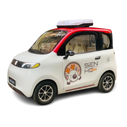 SENHO Mini EV Car